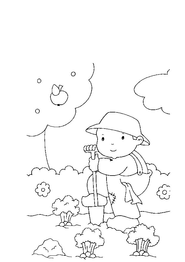 immagine 4 5 anni da colorare