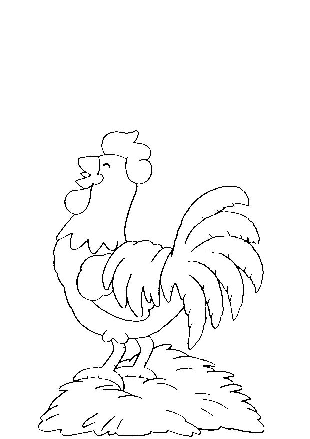 immagine 4 5 anni da colorare