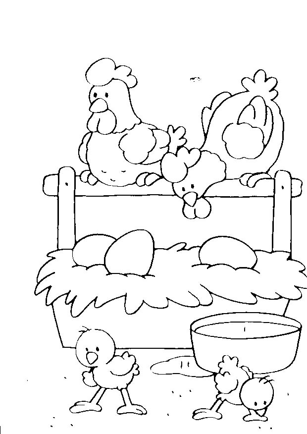 immagine 4 5 anni da colorare