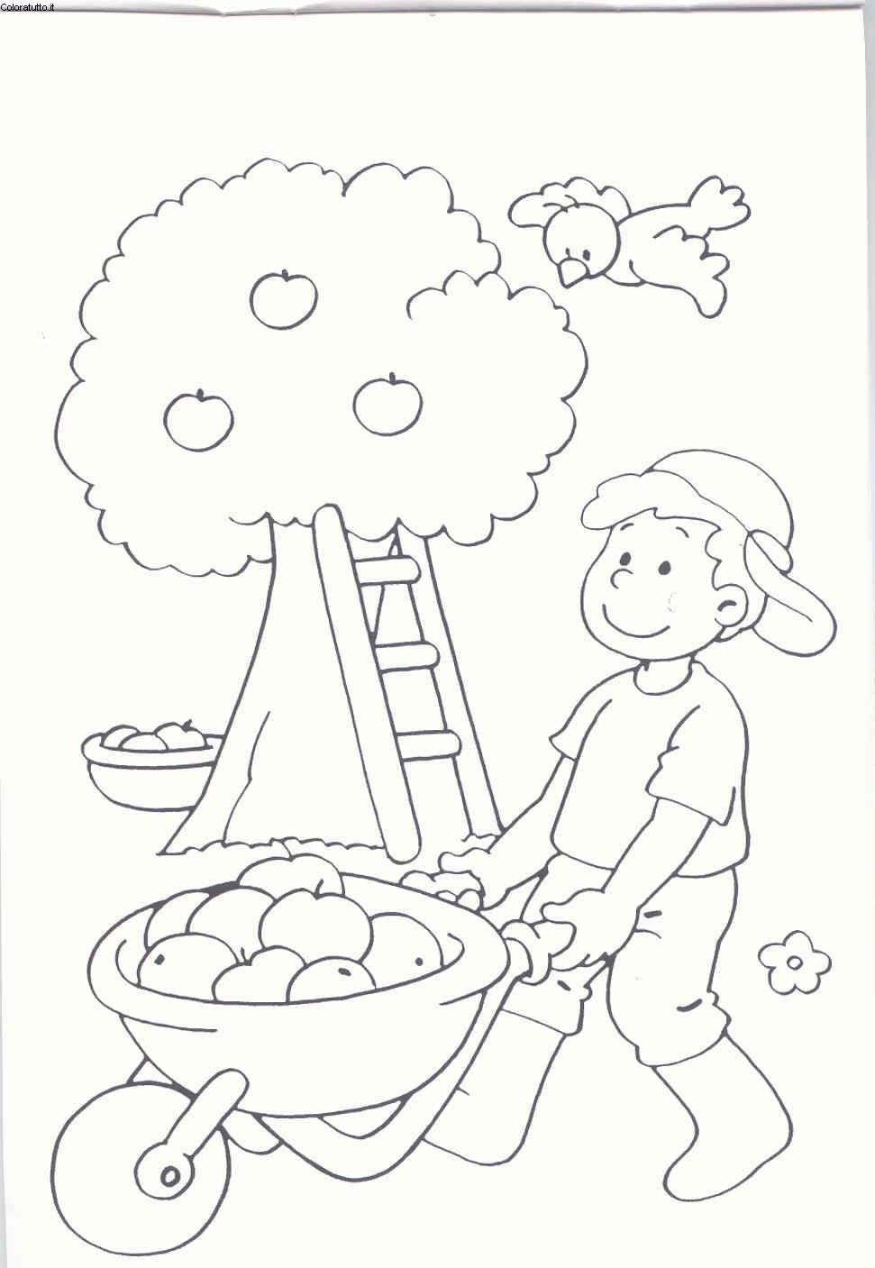 immagine 4 5 anni da colorare