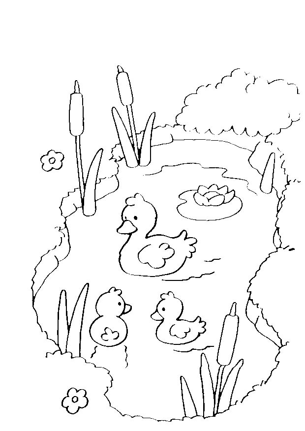 immagine 5 6 anni da colorare