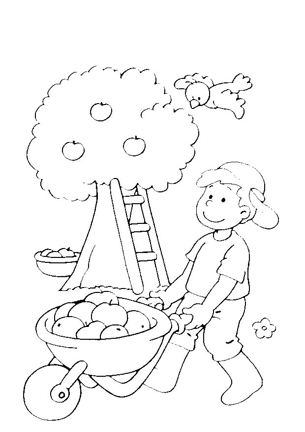 immagine 5 6 anni da colorare