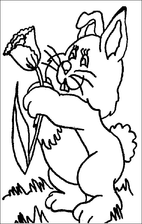 immagine 6 7 anni da colorare