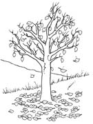 immagine alberi da colorare