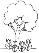 immagine alberi da colorare