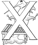 immagine alfabeto animali 2 da colorare