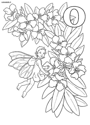 immagine alfabeto fate 2 da colorare