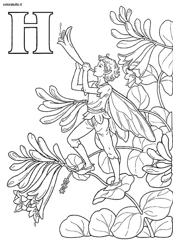 immagine alfabeto fate 2 da colorare