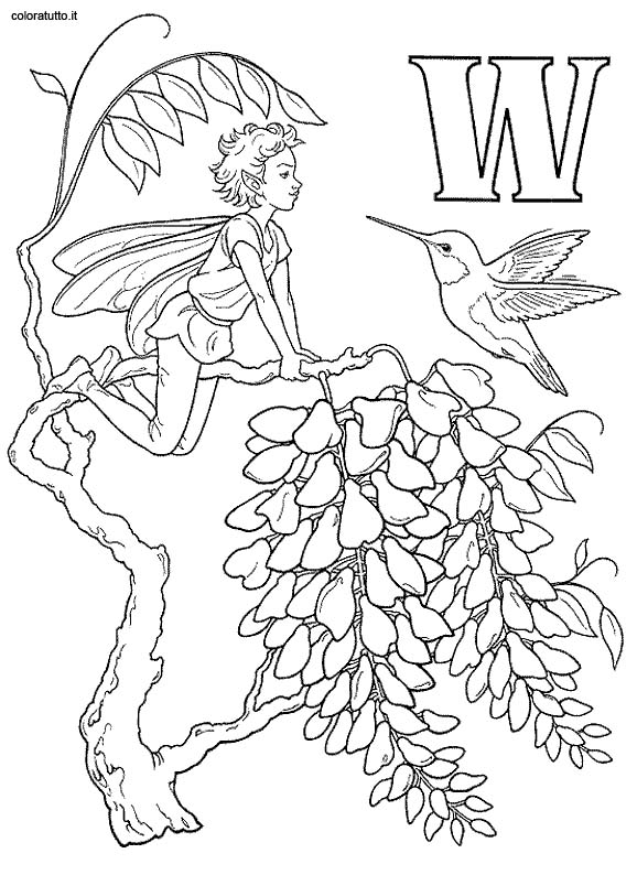 immagine alfabeto fate 2 da colorare