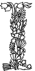immagine alfabeto fiori foglie da colorare