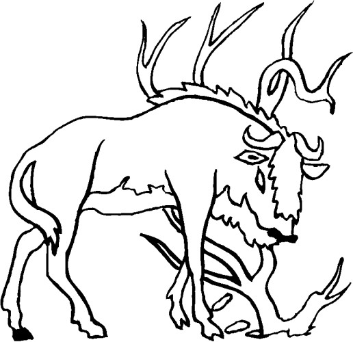 immagine animale con corna da colorare
