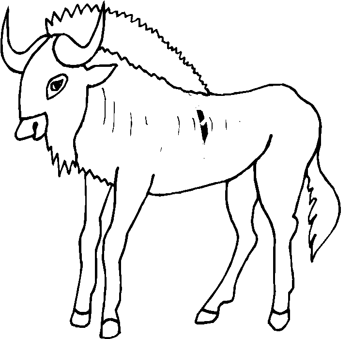 immagine animale con corna da colorare