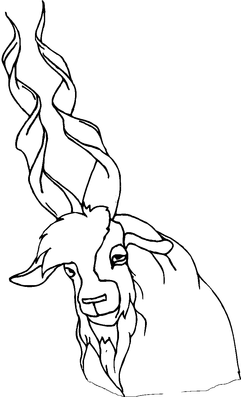 immagine animale con corna da colorare