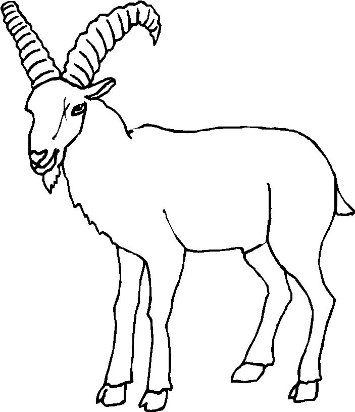 immagine animale con corna da colorare