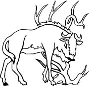 immagine animale con corna da colorare