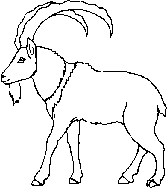 immagine animale con corna da colorare