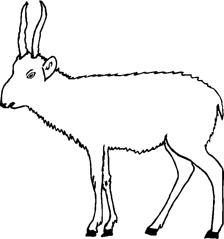 immagine animale con corna da colorare