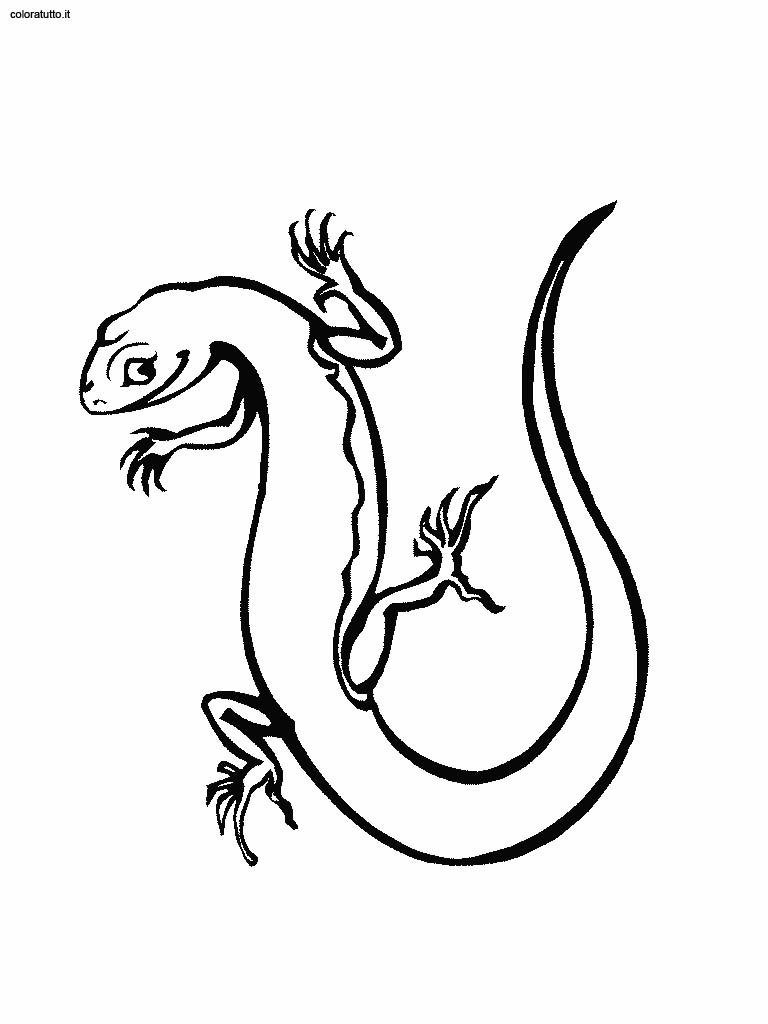 immagine animali del deserto da colorare