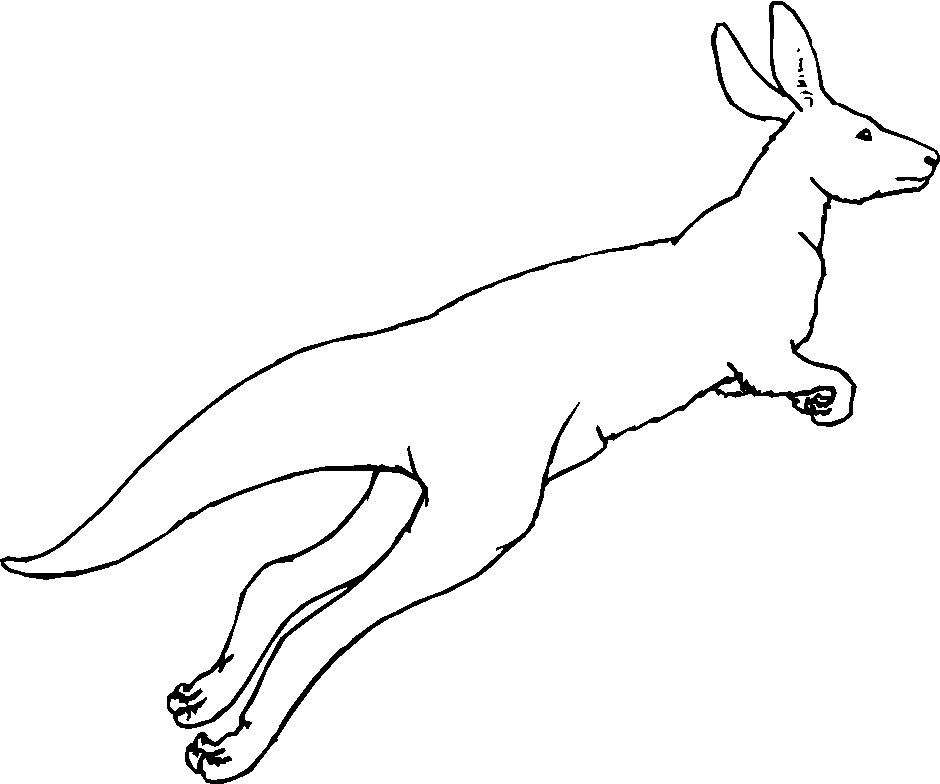 immagine animali del deserto da colorare