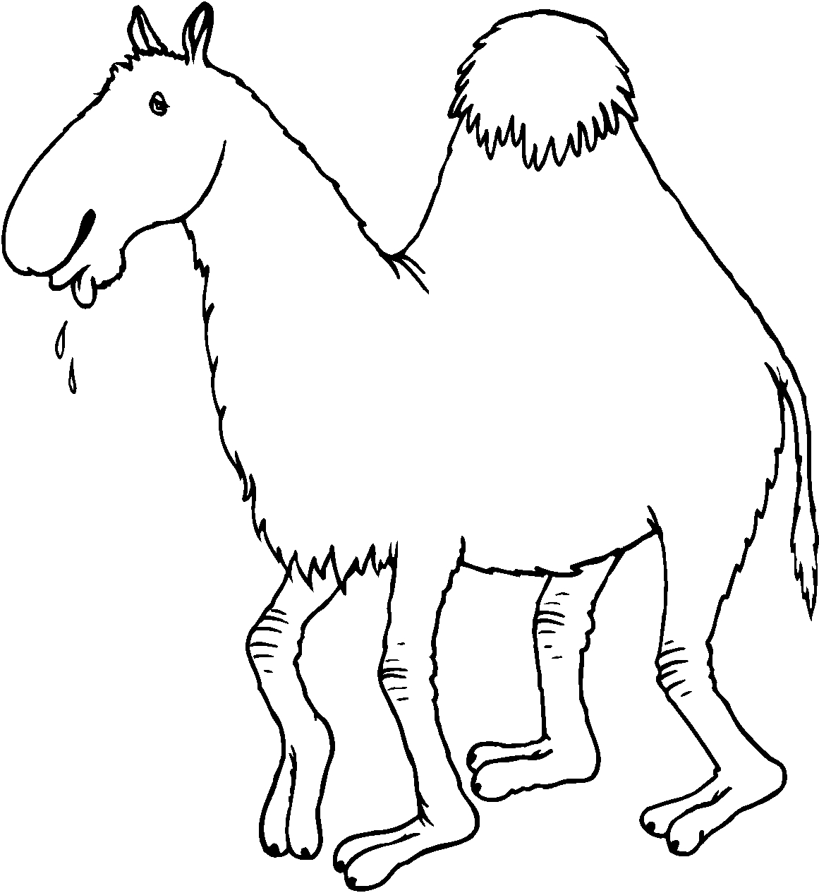 immagine animali del deserto da colorare