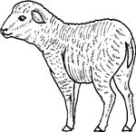 immagine animali fattoria da colorare
