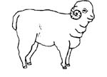 immagine animali fattoria da colorare