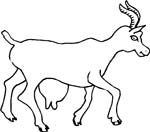 immagine animali fattoria da colorare