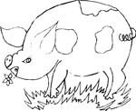 immagine animali fattoria da colorare