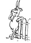 immagine animali fattoria da colorare