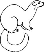 immagine animali foresta da colorare