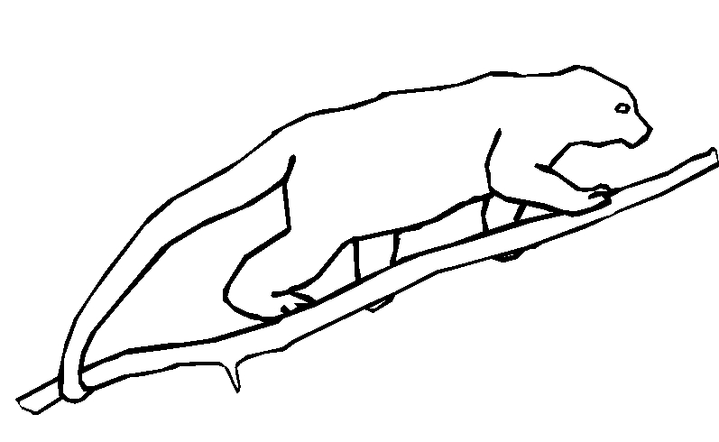 immagine animali foresta da colorare