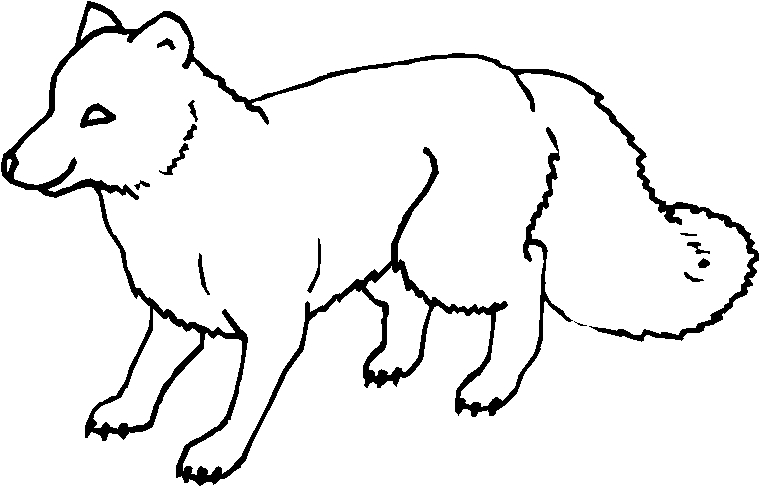 immagine animali foresta da colorare