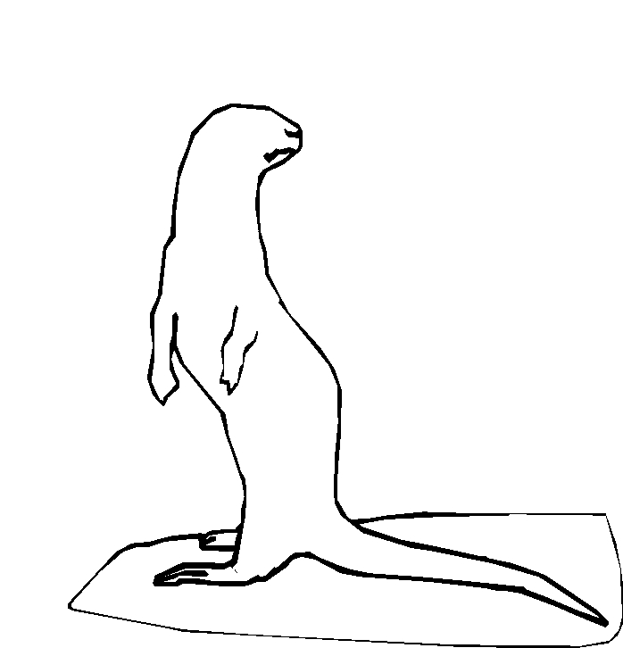 immagine animali foresta da colorare