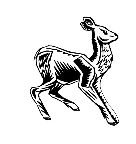 immagine animali foresta da colorare