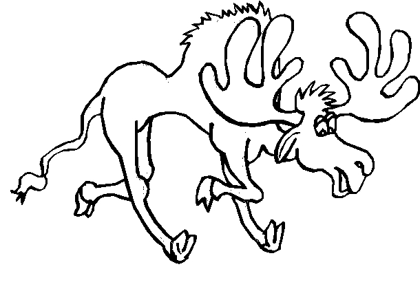 immagine animali foresta da colorare