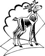 immagine animali foresta da colorare