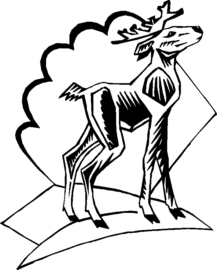 immagine animali foresta da colorare