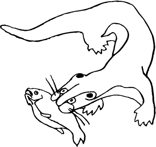 immagine animali foresta da colorare