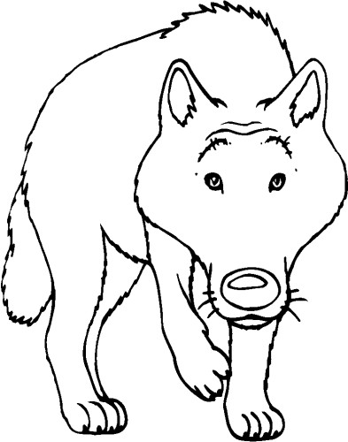 immagine animali foresta da colorare