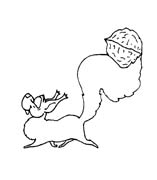 immagine animali foresta da colorare