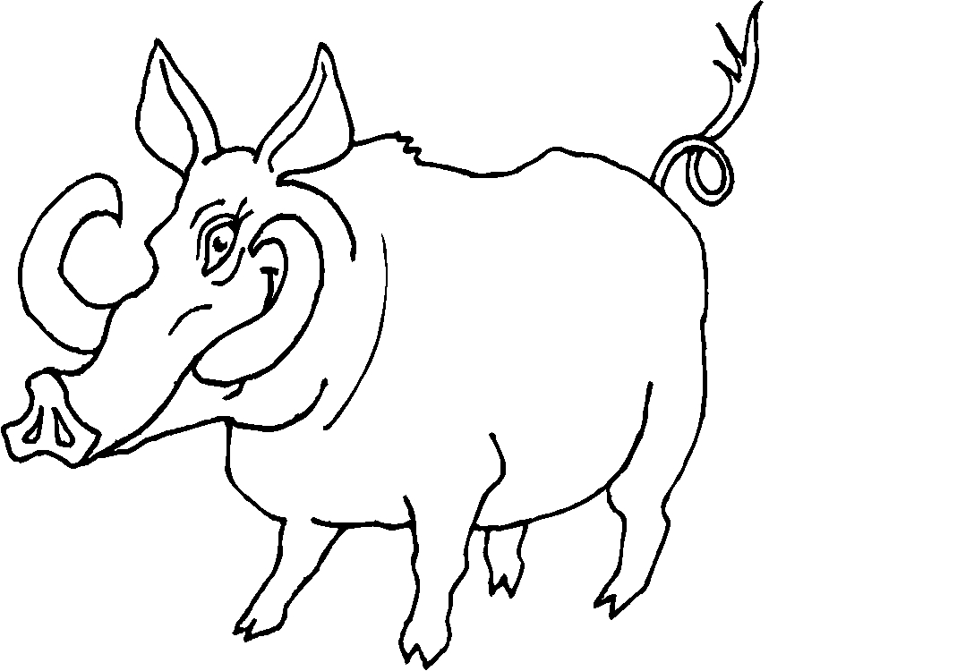 immagine animali foresta da colorare