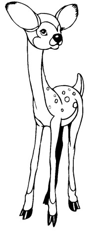 immagine animali foresta da colorare