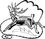 immagine animali foresta da colorare