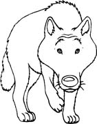 immagine animali foresta da colorare