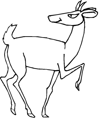 immagine animali foresta da colorare