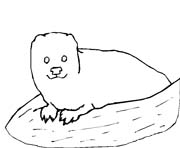 immagine animali foresta da colorare