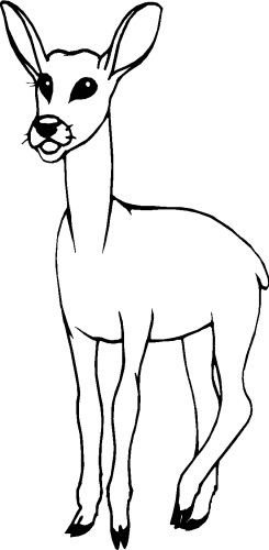 immagine animali foresta da colorare