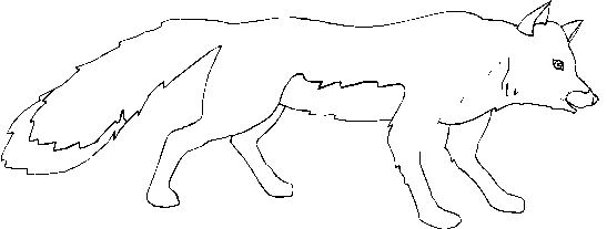 immagine animali foresta da colorare