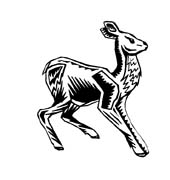 immagine animali foresta da colorare