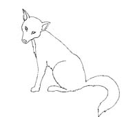 immagine animali foresta da colorare